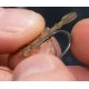 Стопор для установки на крючок Korda Hook Bead Medium